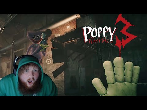 Poppy Playtime Chapter 3 [4 hours DON&#039;T JUDGE ME]