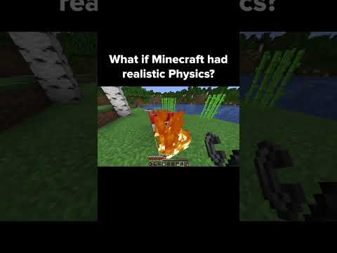 What If Minecraft Had Realistic Physics