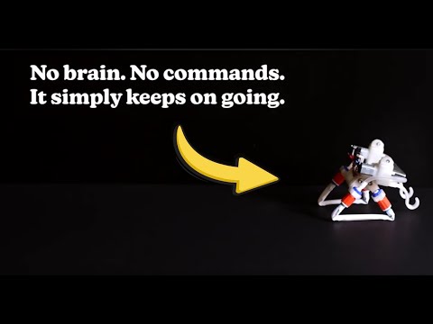This soft robot &quot;thinks&quot; with its legs: physical synchronization of self-oscillating limbs