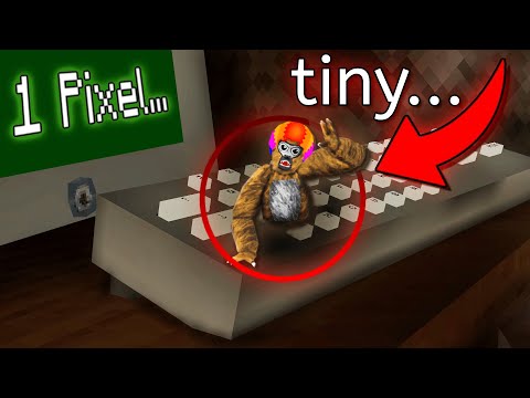 Gorilla Tag but I&#039;m 1 PIXEL BIG... ($30,000)