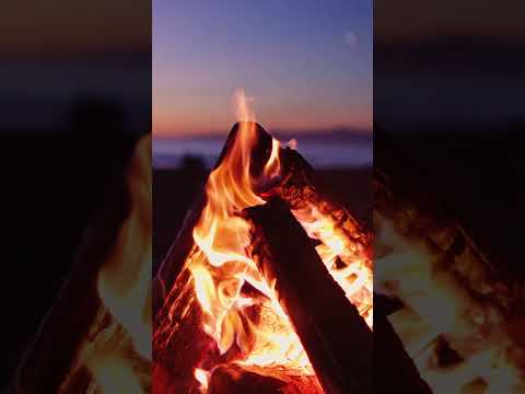 Who else would love to relax around this campfire right now? 💚 #relaxingmusic #campfire